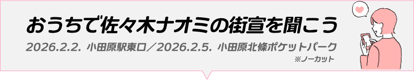 おうちで街宣を見よう